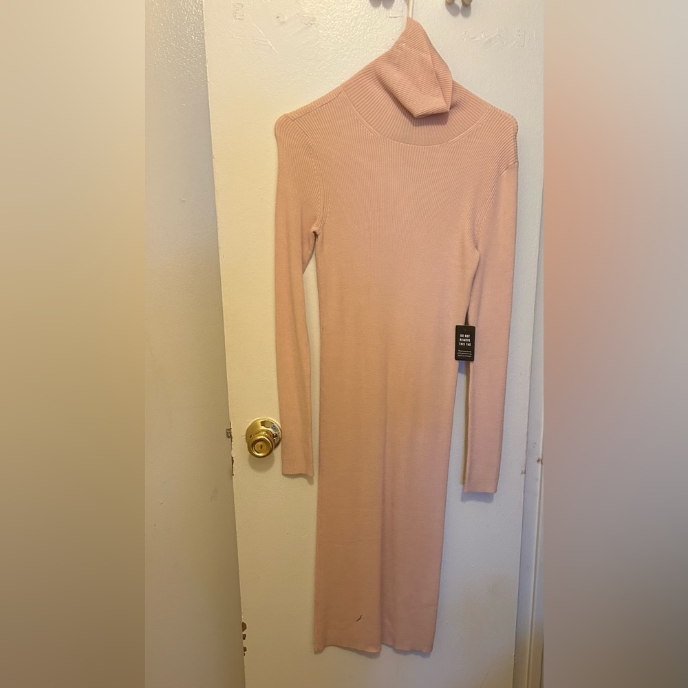 Express turtleneck pink midi dress